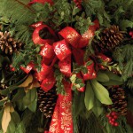 Holidays at Bishop Hill