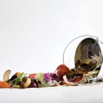 Compost: A Gardener’s Black Gold