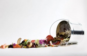 compost_gardener_black_gold
