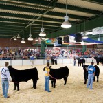 Champions of Animal Care
