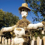 Oh, the Scarecrow