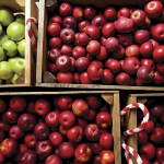 Going Monkeys Over Cider