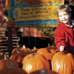 Patch Things Up at The Great Pumpkin Patch