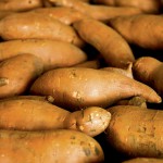 Home-Grown Sweet Potatoes