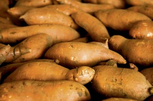 sweet potatoes
