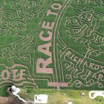 A-maizing: Corn Mazes in Illinois
