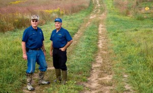 In prairie grasses, Indian grass and big blue stem