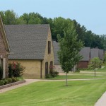 How to Grow Great Grass