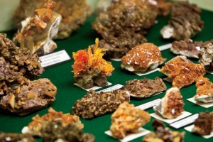 Bill Case leads a school group on a tour of the Funk Gem and Mineral Museum in Shirley, Il. LaFayette Funk II amassed the collection during the second half of his life, leading to the museum to bill itself as the largest one-man mineral collection in the world. The museum's collection is big enough to make the Smithsonian jealous. From petrified wood to moon rocks. There isn't much that LaFayette didn't collect.
