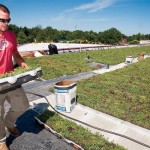 Department of Agriculture Gets Green Roof