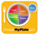 New Food Pyramid  – MyPlate dishes out recommended serving sizes
