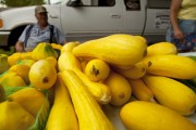 Springfield Farmers Market