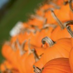 Farm Facts: Pumpkins