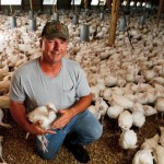 Talking Turkey at Kauffman Farms