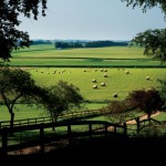 Elkhart Hill: Little Town on the Prairie