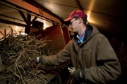 Illinois Horseradish Farmer Jeff Heepke, Edwardsville, IL