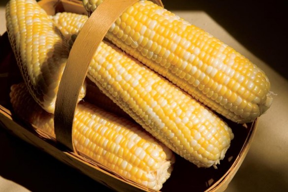 Sweet corn recipes