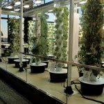 Vertical Gardens Sprout at Chicago Airport