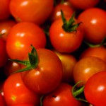 Quincy Retiree Grows 600 Tomato Plants