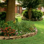 How to Plant a Shade Garden