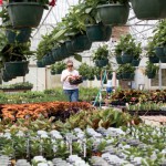 Farm Focus: Nursery Sector