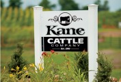 Kane Cattle