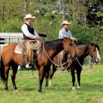 Unbridled Hospitality at Illinois Horse Hotels