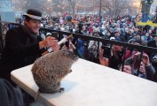 Groundhog Days in Woodstock, Illinois