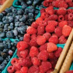 Berry Delightful at You Pick Berries