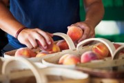 Cobden Peach Festival
