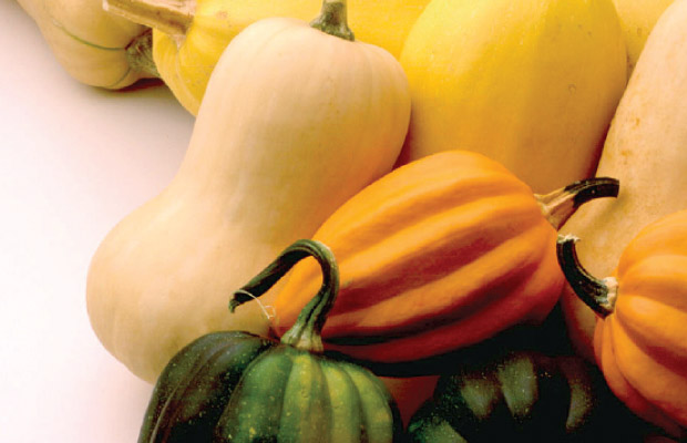 When the weather gets cold and the traditional fruits of summer are out of season, winter squash can be a delicious and healthy option.