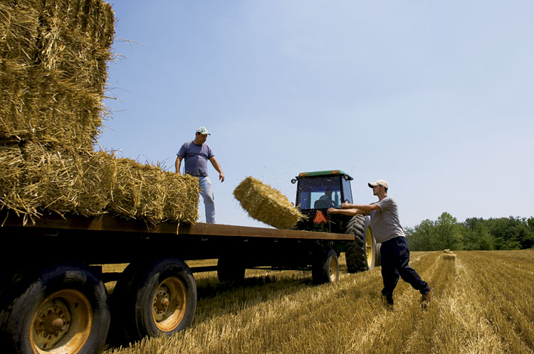 Sunny days and storytelling arrive with season's first Illinois hay bales.