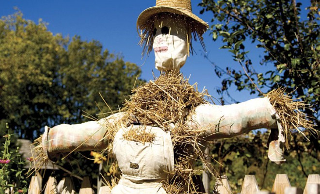 Oh, the Scarecrow