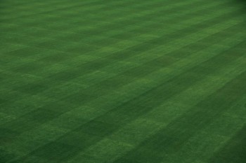 The groundskeepers at Wrigley Field, in Chicago, home of the Cubs, are among the best qualified to give lawn care tips because they have to deal with keeping grass healthy every day.