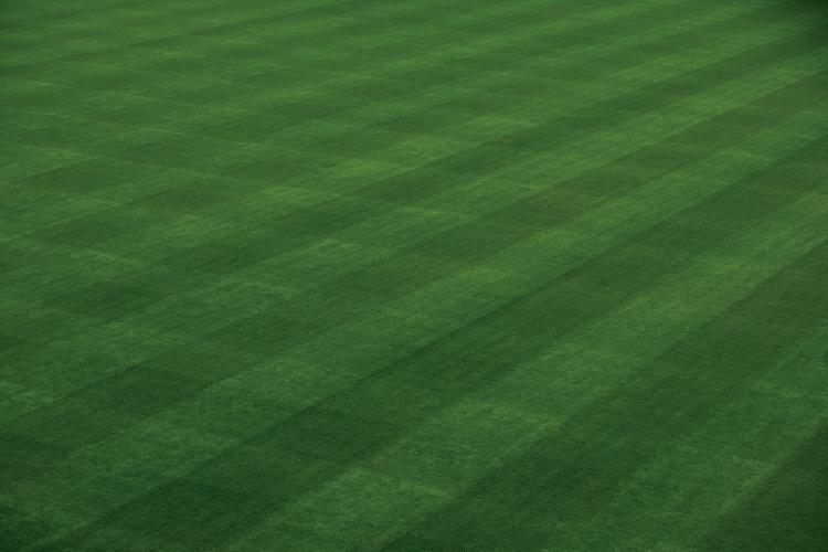 The groundskeepers at Wrigley Field, in Chicago, home of the Cubs, are among the best qualified to give lawn care tips because they have to deal with keeping grass healthy every day.