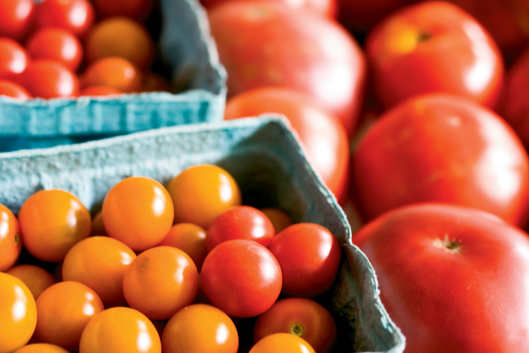 One of summer’s tastiest gifts is a basket of juicy ripe tomatoes fresh from the vine. With a day’s work and a little know-how, you can enjoy your bounty of summer tomatoes year-round.
