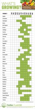 What's in Season Illinois Produce Calendar