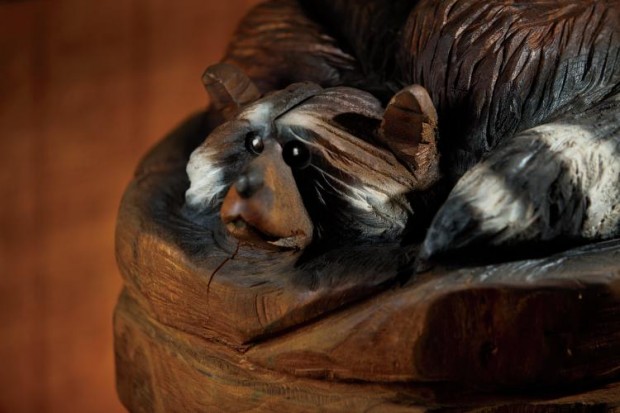 A raccoon carved by Brian Willis using a chainsaw, Granite City, wood carving