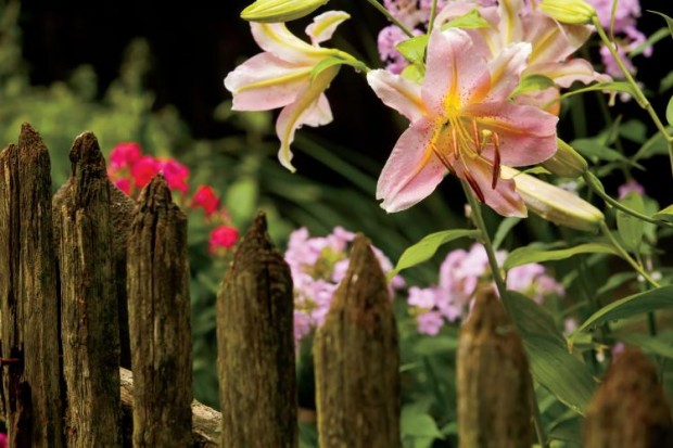 lilies surround the Elkhart is famous for its unusual landscape