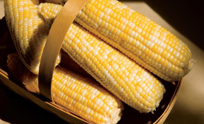 Sweet Corn Recipes: We’re All Ears