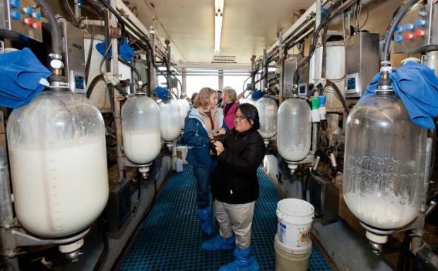 Illinois Farm Families visit a dairy farm