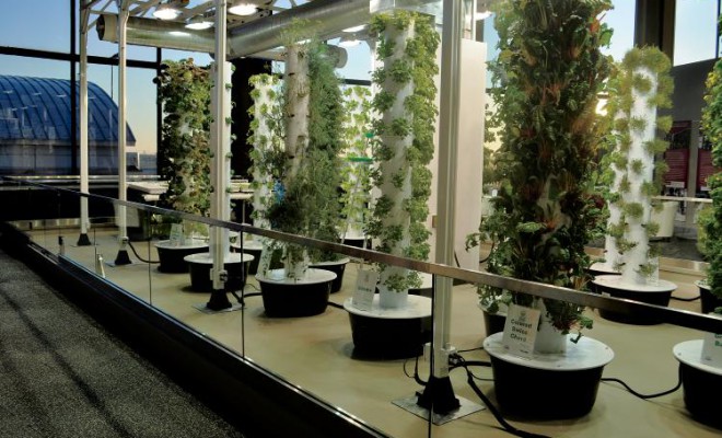 Vertical Gardens Sprout at Chicago Airport