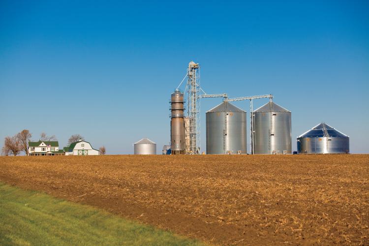 Grain Storage, Silo, Grain Bin, Farm, Grain, Grain Storage