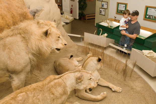 Midwest Museum of Natural History in Dekalb County
