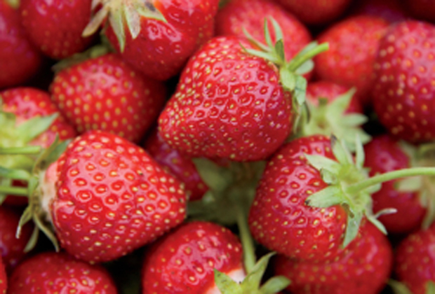 Millcreek Farm Strawberries