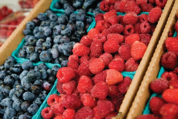 U-Pick Berries in Kingston