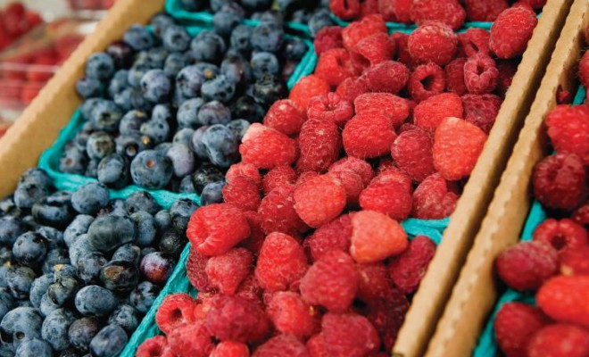 Berry Delightful at You Pick Berries