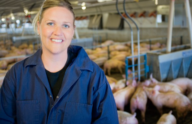 Illinois Farm Families Happenings: Field Moms’ Pig Pen