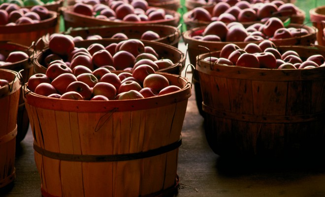 Take a Field Trip to Tanners Orchard in Speer