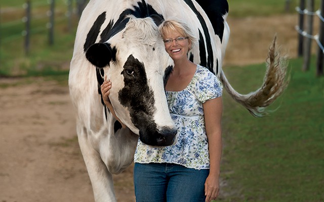 Blosom the Cow Sets the World Record